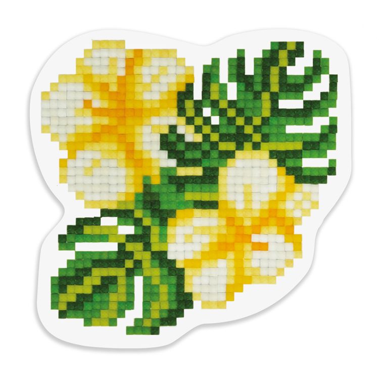 Алмазная вышивка «Тропические цветы»
