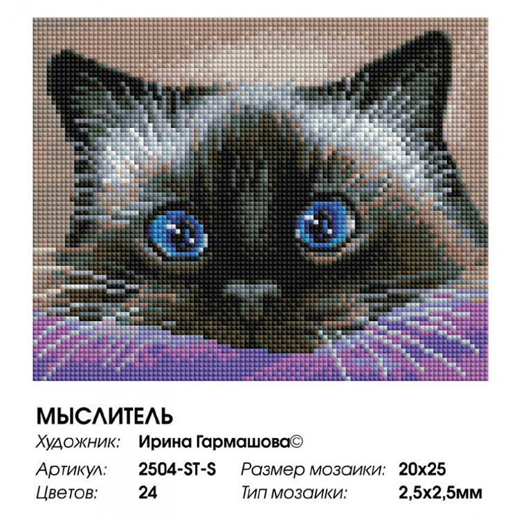 Алмазная вышивка «Мыслитель» — картинка 2