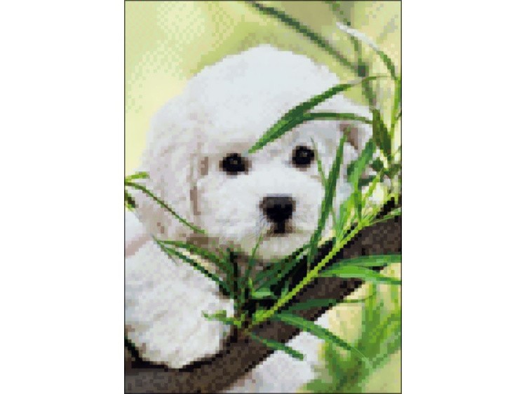 Алмазная вышивка «Песик на ветке» — картинка 2