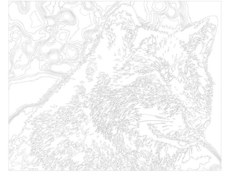 Картина по номерам «Волк» — картинка 3