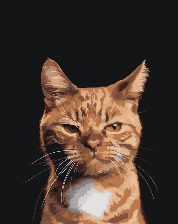 Картина по номерам «Дерзкий кот»