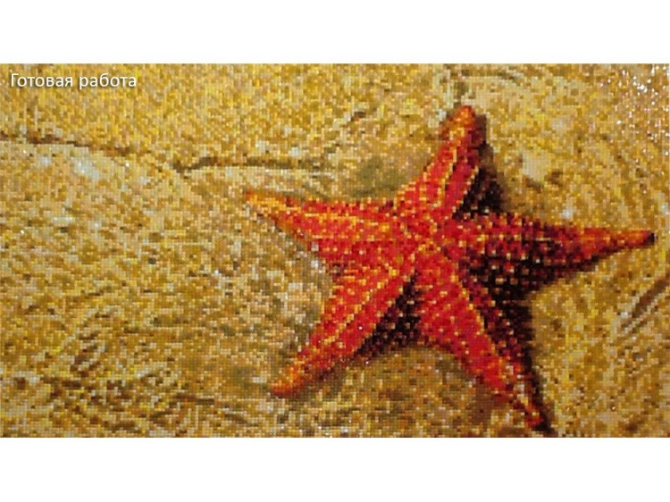 Алмазная вышивка «Морская звезда» — картинка 2