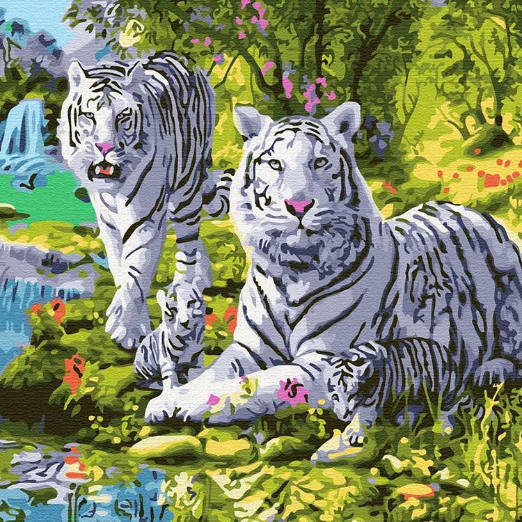 Картина по номерам «Семейство белых тигров»