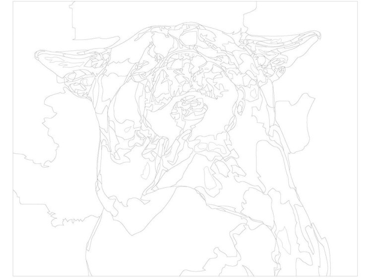 Картина по номерам «Довольный пёс» — картинка 3