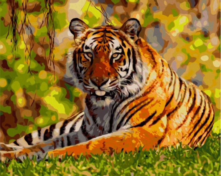 Картина по номерам «Позирующий тигр»