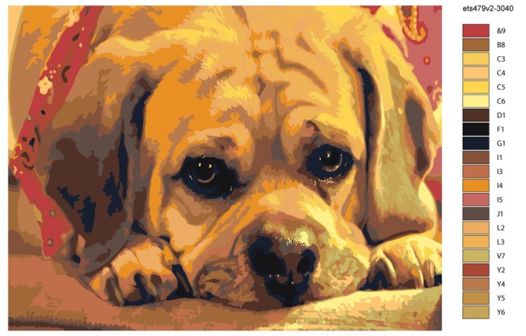 Картина по номерам «Грустный взгляд» — картинка 2