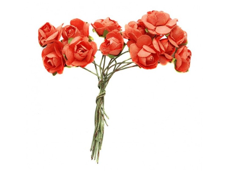 Набор цветов «Бегония красная»