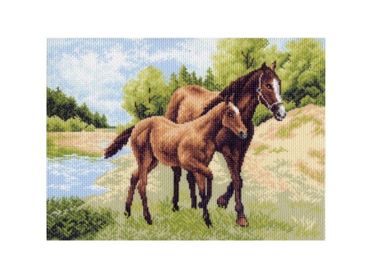 Рисунок на канве «Лошади»