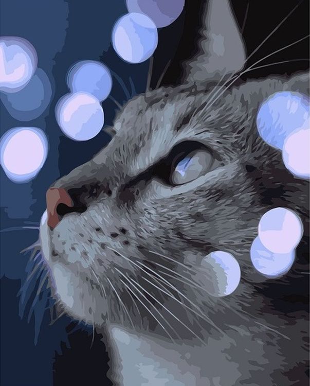 Картина по номерам «Мечтательный котик»