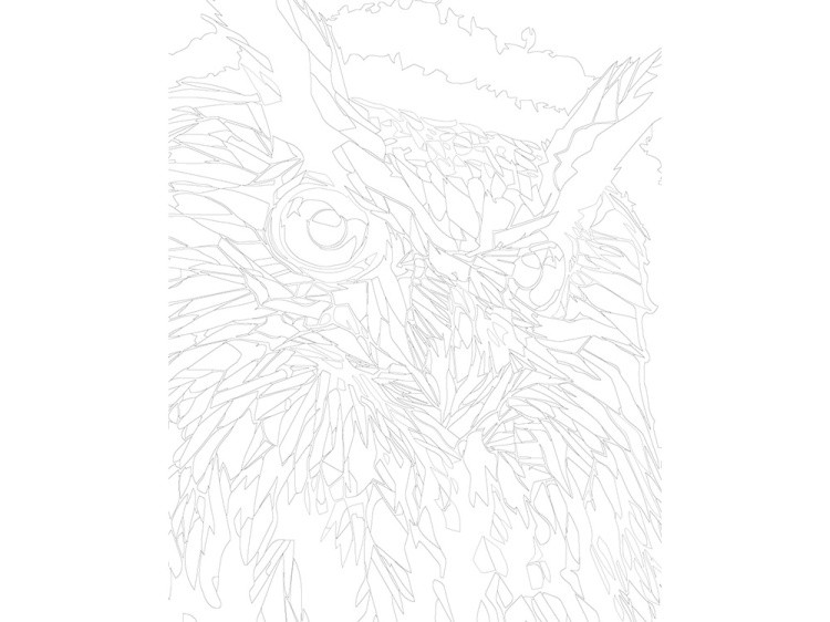 Картина по номерам «Сова» — картинка 3