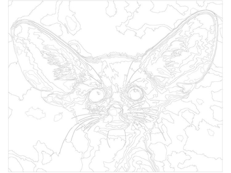 Картина по номерам «Ушастик» — картинка 3