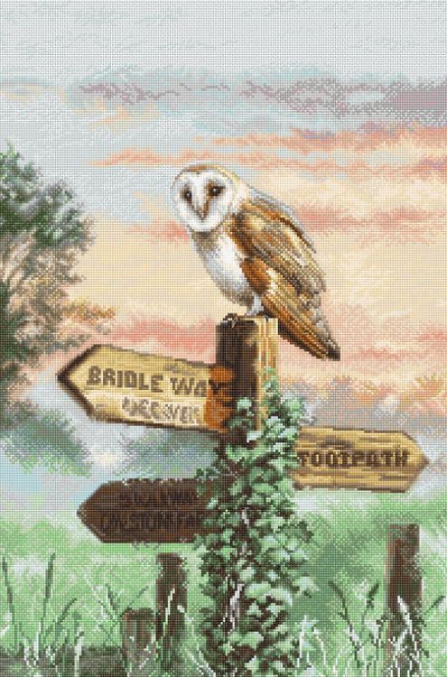 Набор для вышивания «Barn Owl»