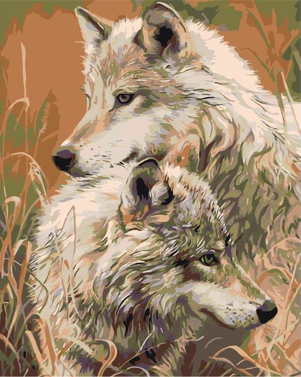 Картина по номерам «Двое волков»