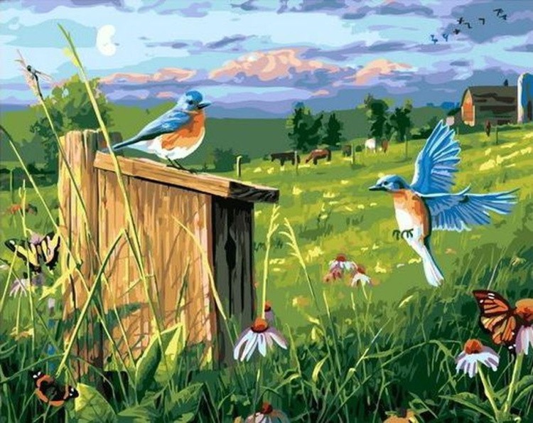 Картина по номерам «Птичку у скворечника»
