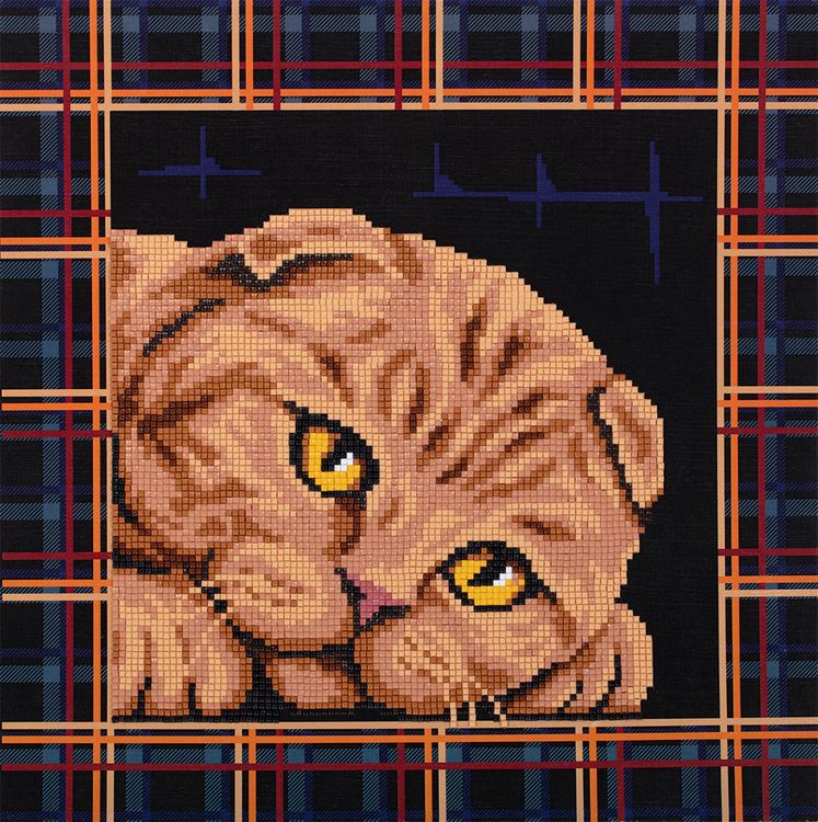 Алмазная вышивка «Постер. Шотландская кошка»