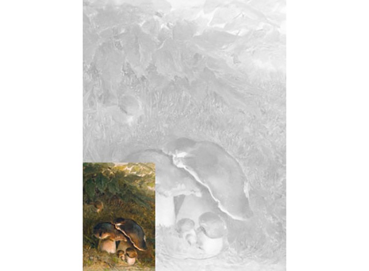 Холст «Грибы» — картинка 2