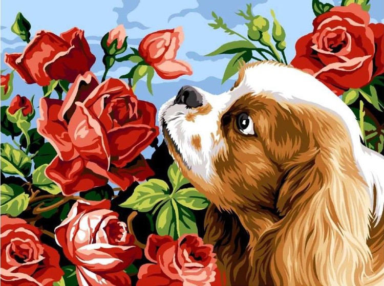 Картина по номерам «Кокер-спаниель и розы»