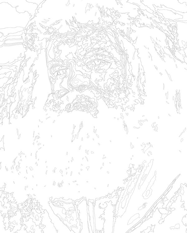 Картина по номерам «Хагрид портрет, Гарри Поттер 40х50» — картинка 3