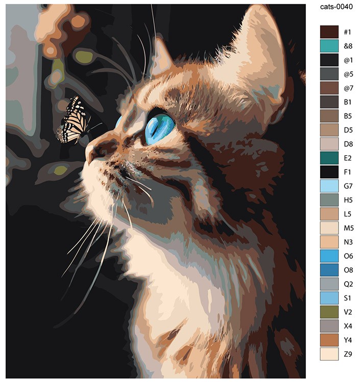 Картина по номерам «Голубоглазый кот и бабочка» — картинка 2