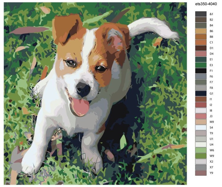 Картина по номерам «Щенок в траве» — картинка 2