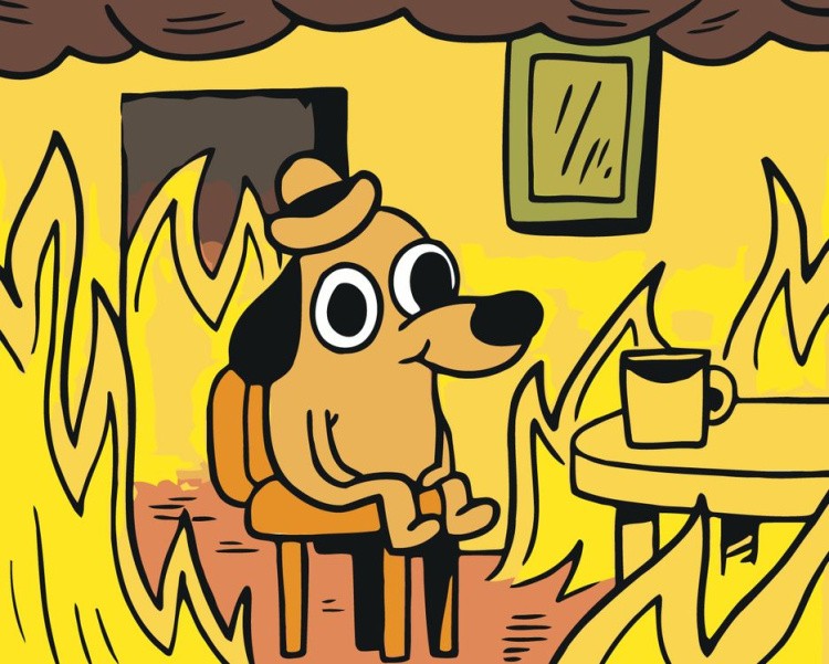 Картина по номерам «Мем: This is fine»