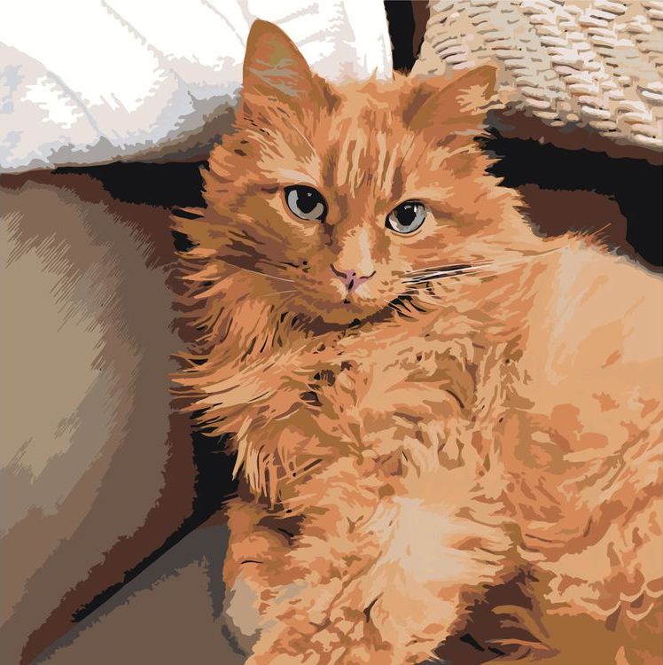 Картина по номерам «Рыжий кот»