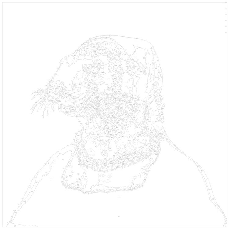 Картина по номерам «Выдра в историческом платье» — картинка 3