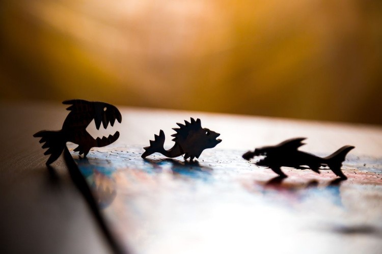 Деревянные пазлы DAVICI «Красная креветка» — картинка 6