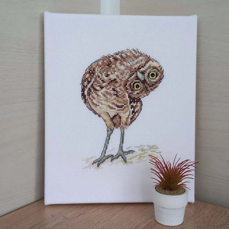 Набор для вышивания «Воробьиный сычик» — картинка 4