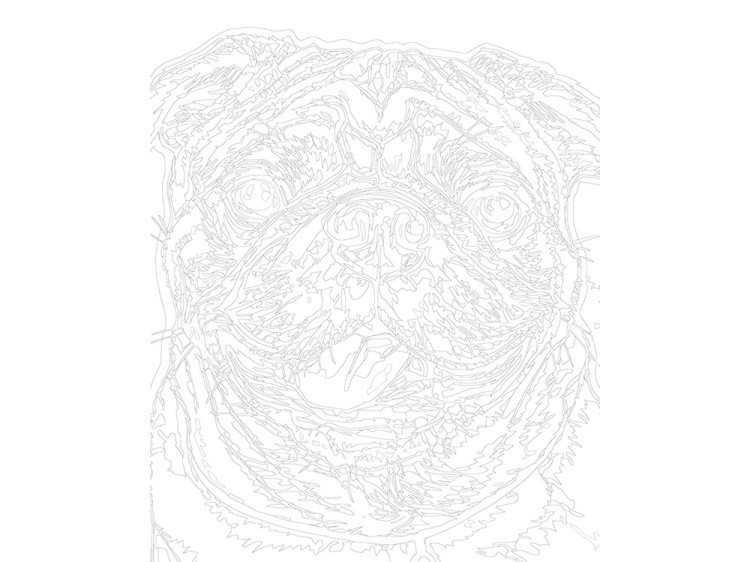 Картина по номерам «Веселый бульдог» — картинка 3