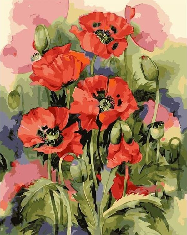 Картина по номерам «Цветущий мак»