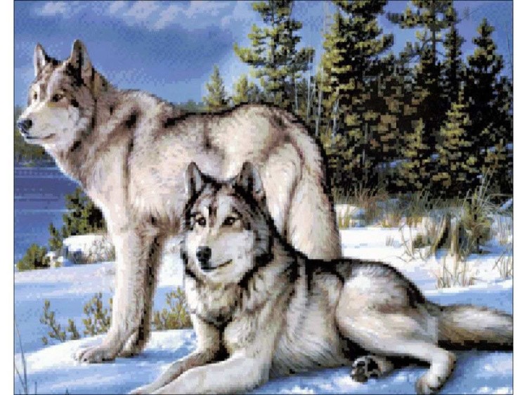 Алмазная вышивка «Волки» — картинка 2