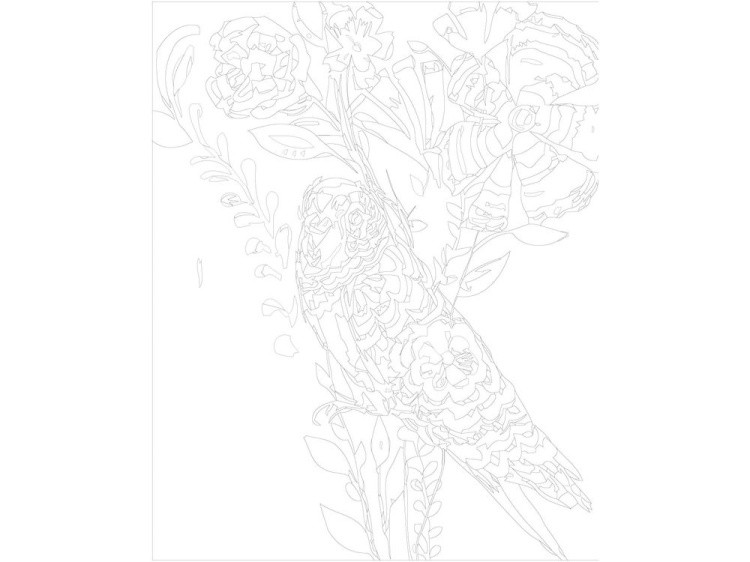 Картина по номерам «Цветочная птица» — картинка 3