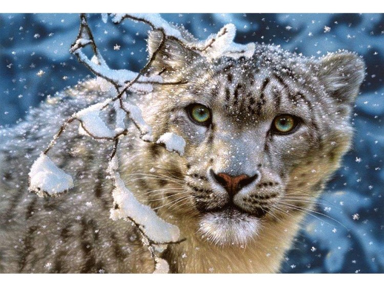Пазлы «Снежный леопард»