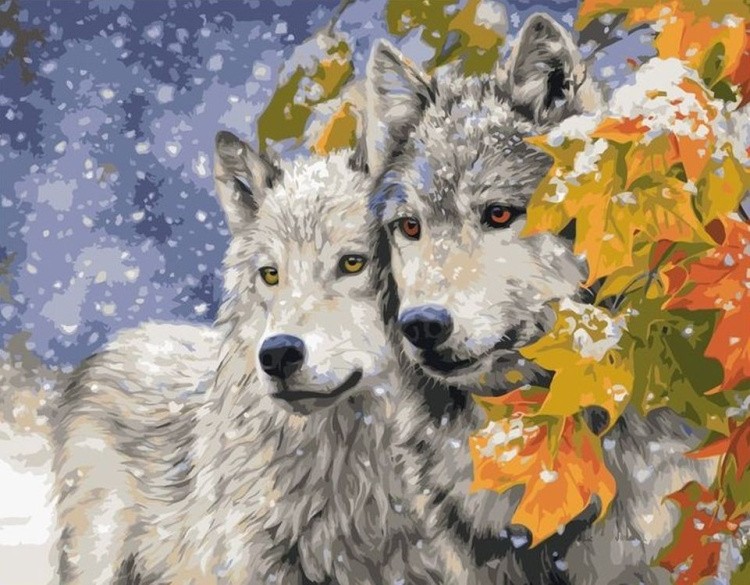 Картина по номерам «Волк с волчицей»