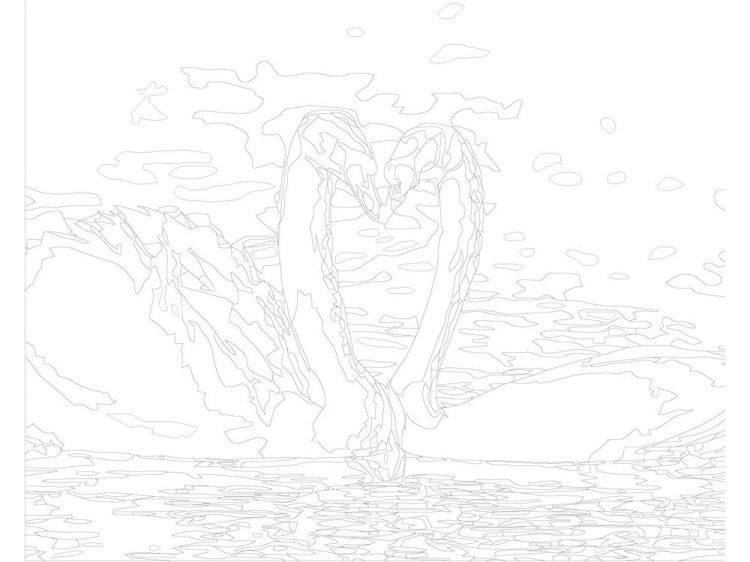 Картина по номерам «Лебединая пара» — картинка 3