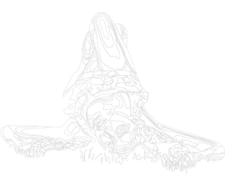 Картина по номерам «Дневники вампира: Елена Гилберт - Нина Добрев 2» — картинка 3