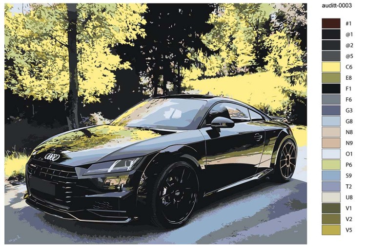 Картина по номерам «Машина Ауди ТТ на дороге в лесу 40x50» — картинка 2