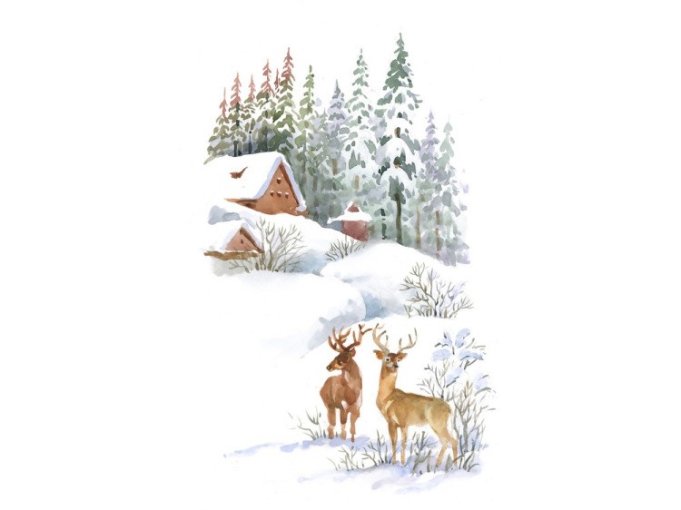 Набор вышивки бисером «Зимние гости» — картинка 2