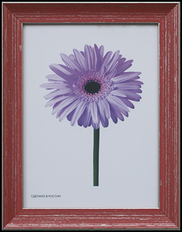 Рамка для картин «Jasmin» — картинка 4